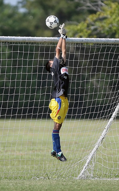 厄德高的职 厄德高的职