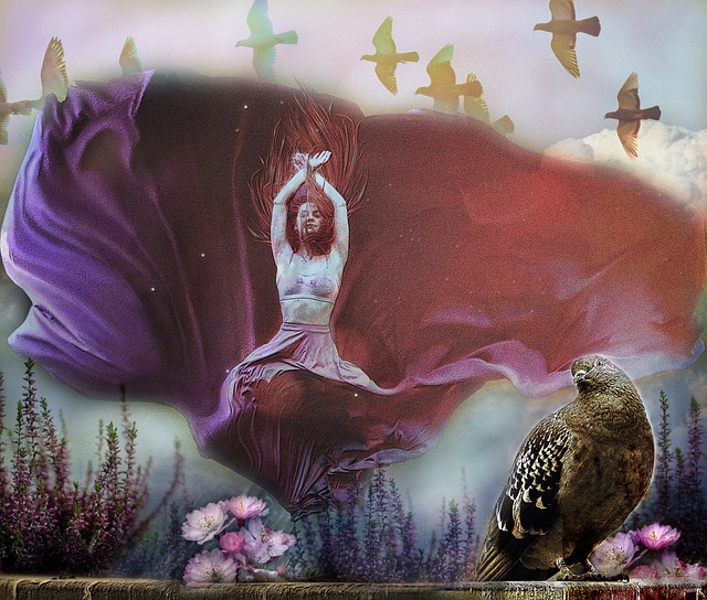 在这一顶级 在这一顶级